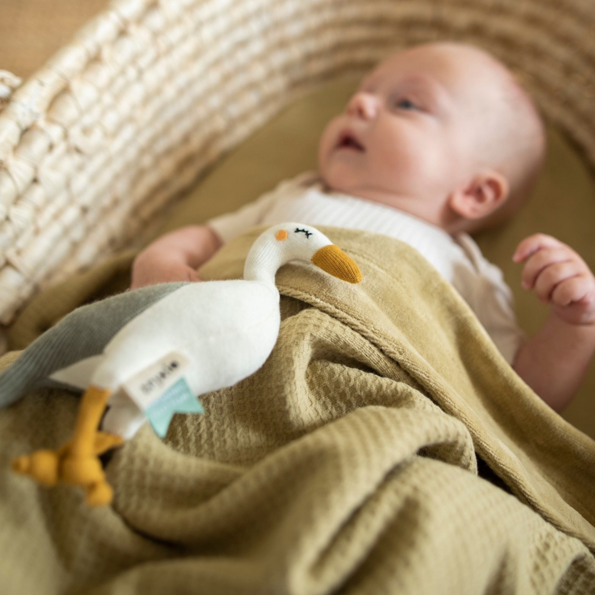 organic textured baby blanket in lemongrass, green - yellow. Perfect for newborn. Bumbles and boo. 