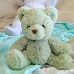 Soft light green teddy bear with the softest fur and cute face approx 9 inches