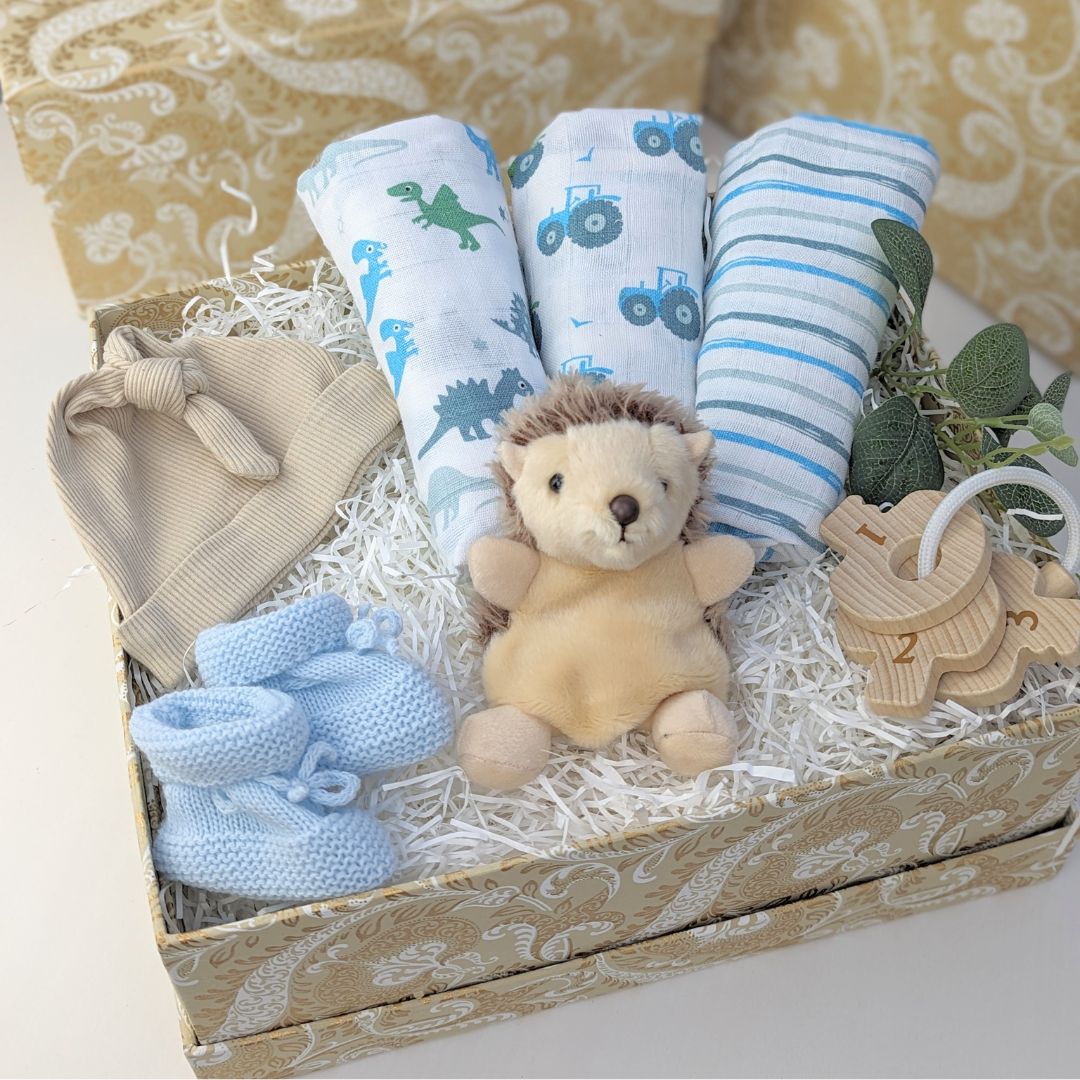 Baby Boy Gift Box - Hedgehog - Baby Boy Hampers – Bumbles & Boo