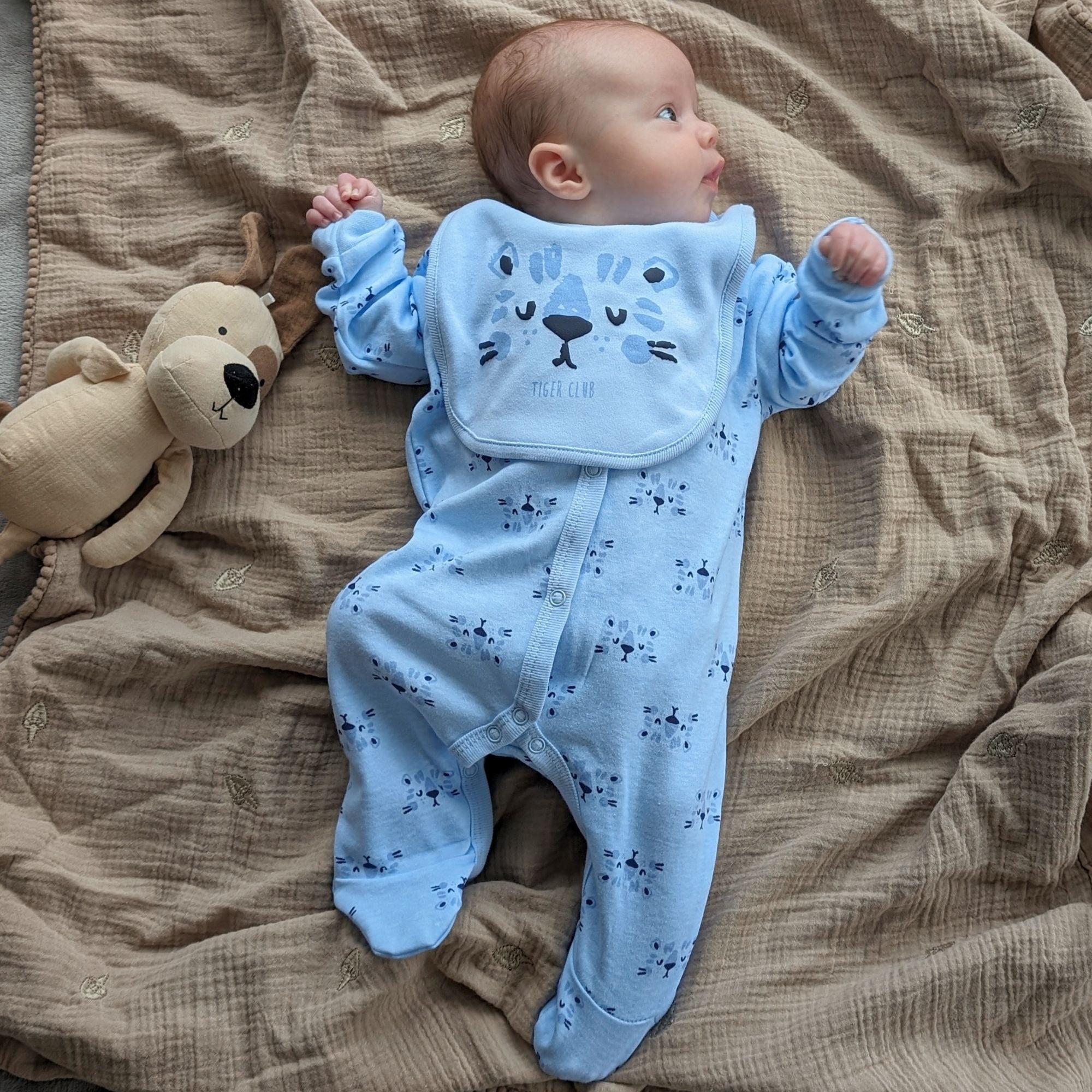 Baby wearing a blue baby boy clothing set with tiger theme, lying down.