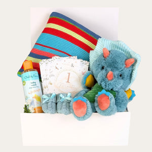 Baby boy gifts hamper with colourful blanket, dinosaur and baby milestone cards.