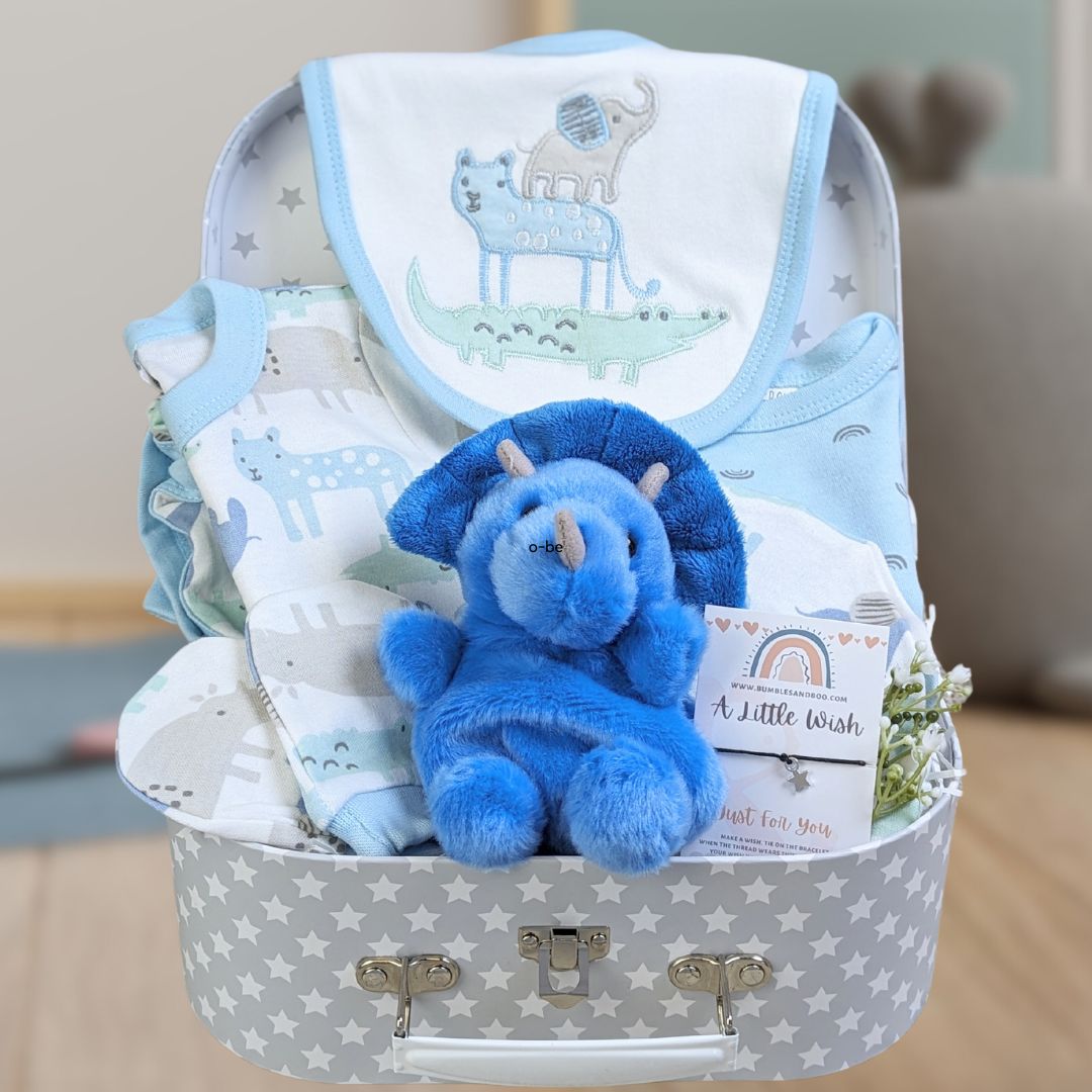Amazon.com : Baby Gift Set for Newborn - 11PCS Baby Shower Gifts Basket  with Baby Blanket Baby Rattle, Wooden Keepsake Milestone Elephant Toy  Decision Coin & Baby Bibs Socks Essentials for Baby
