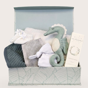 baby-gifts-box-organic-seahorse