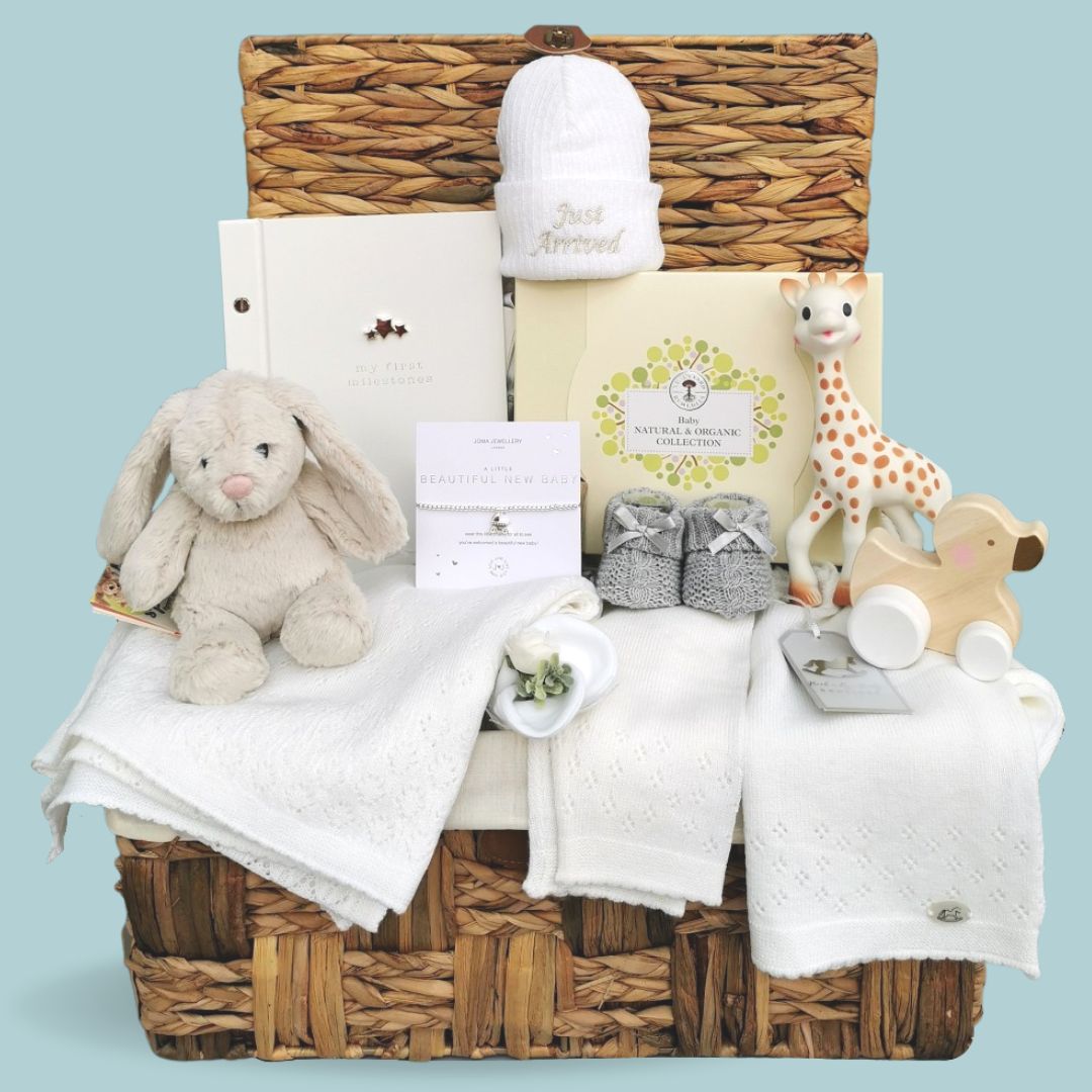 Hamper for 2024 new born baby