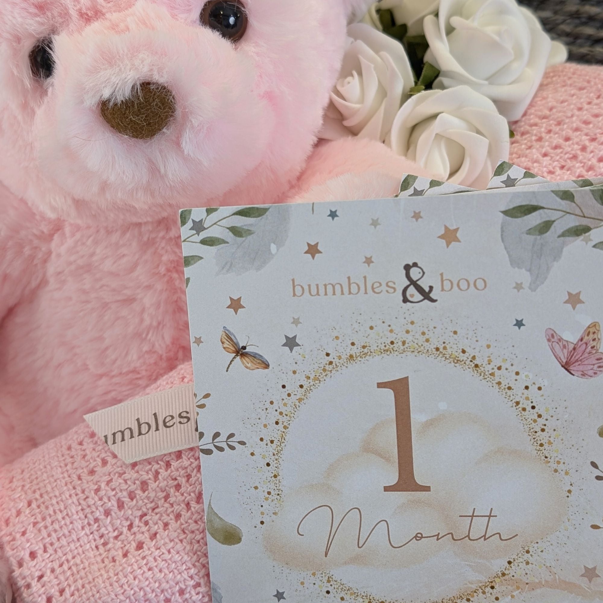 baby milestone cards and pink teddy bear