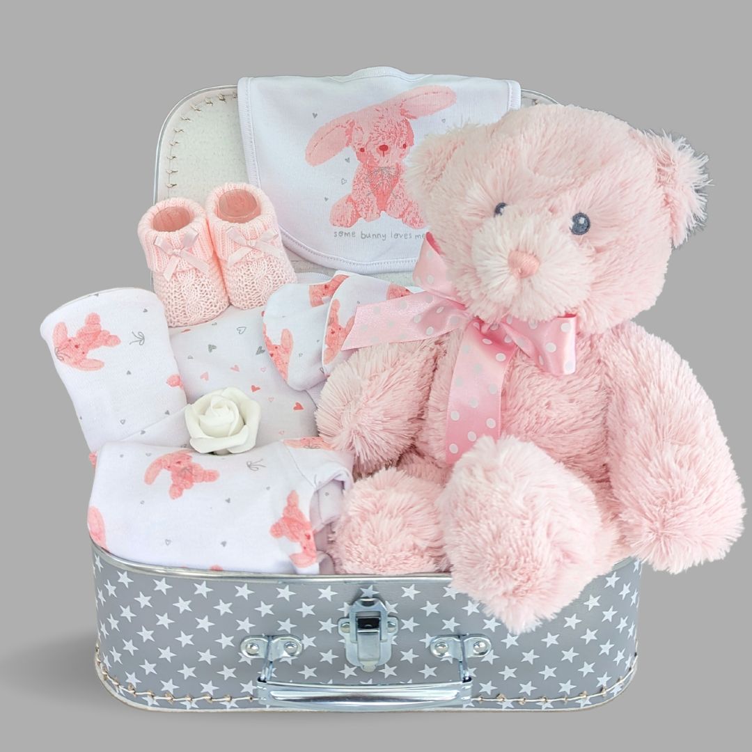 Baby Girl Hamper - Teddy Bear & Bunny - Baby Girl Gifts – Bumbles & Boo