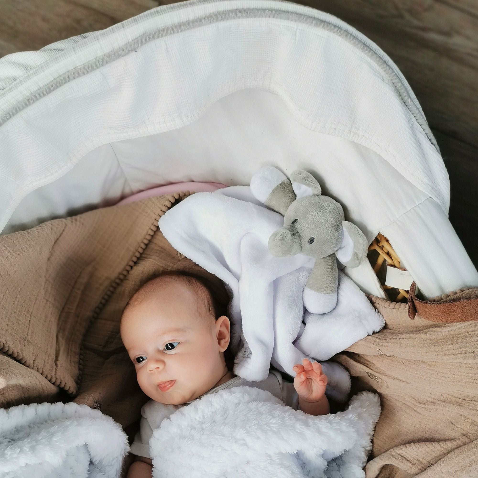 baby with a soft elephant comforter toy in white and grey