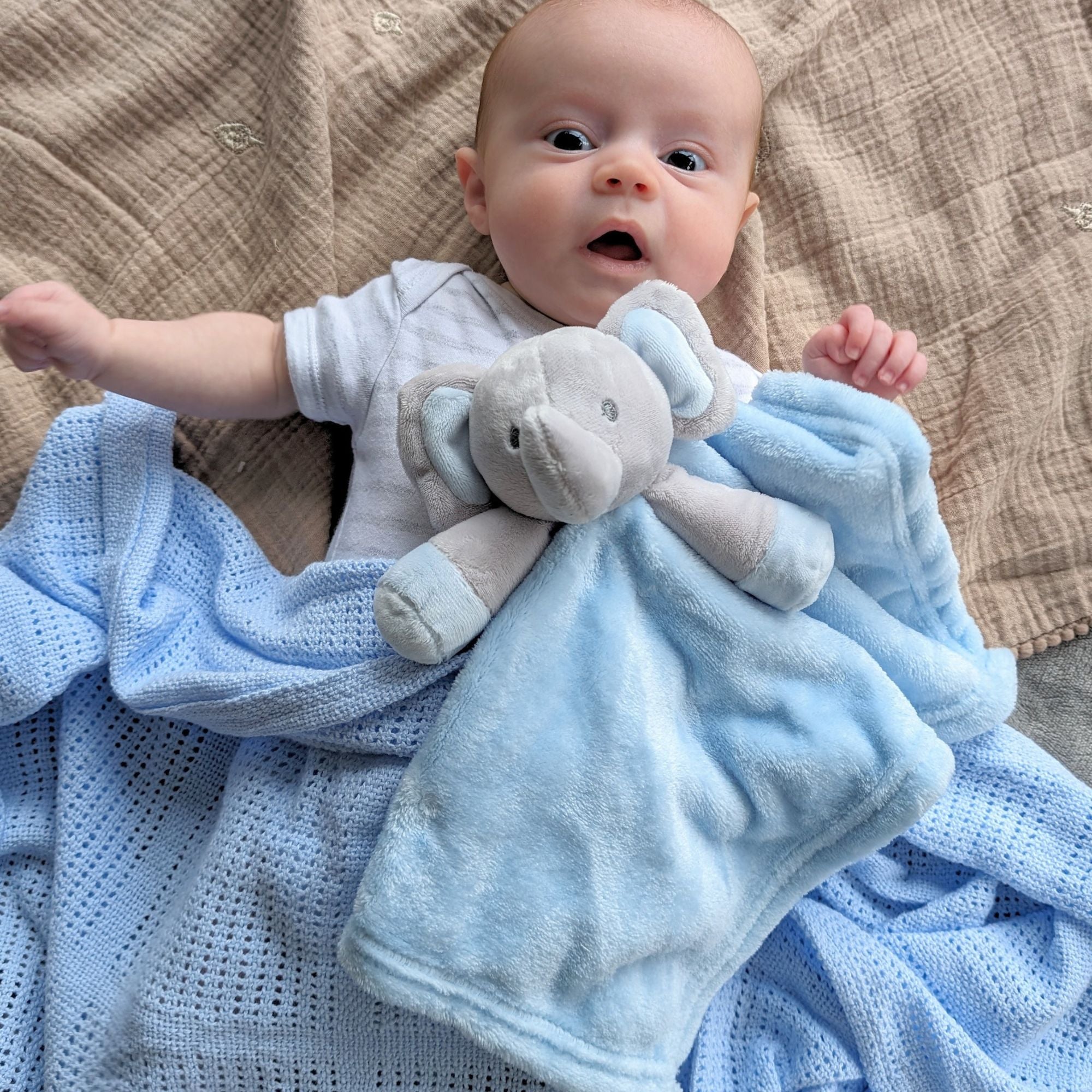 blue elephant comforter soft toy