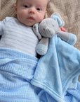 blue elephant comforter soft toy