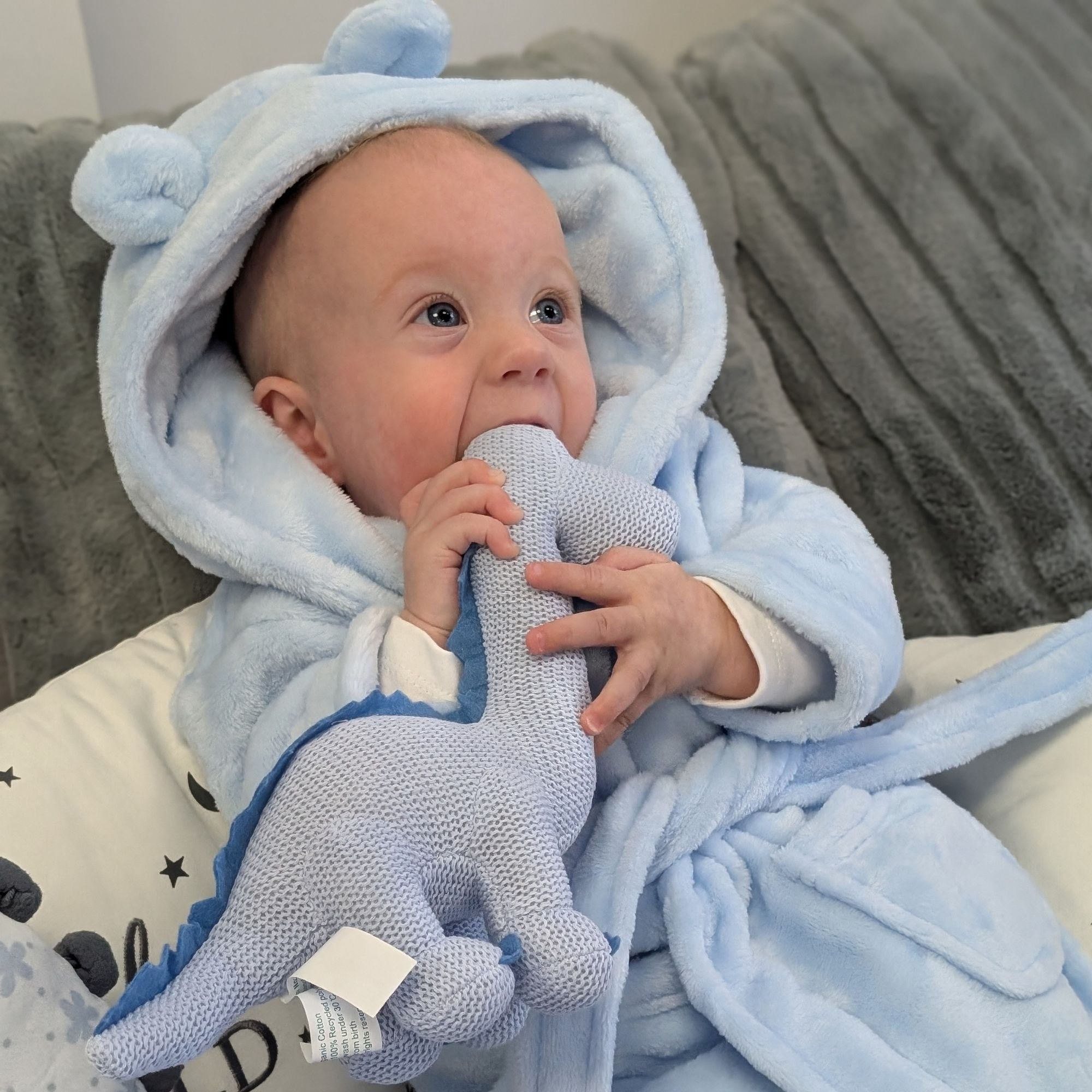 Baby chewing a blue knit dinosaur soft toy.