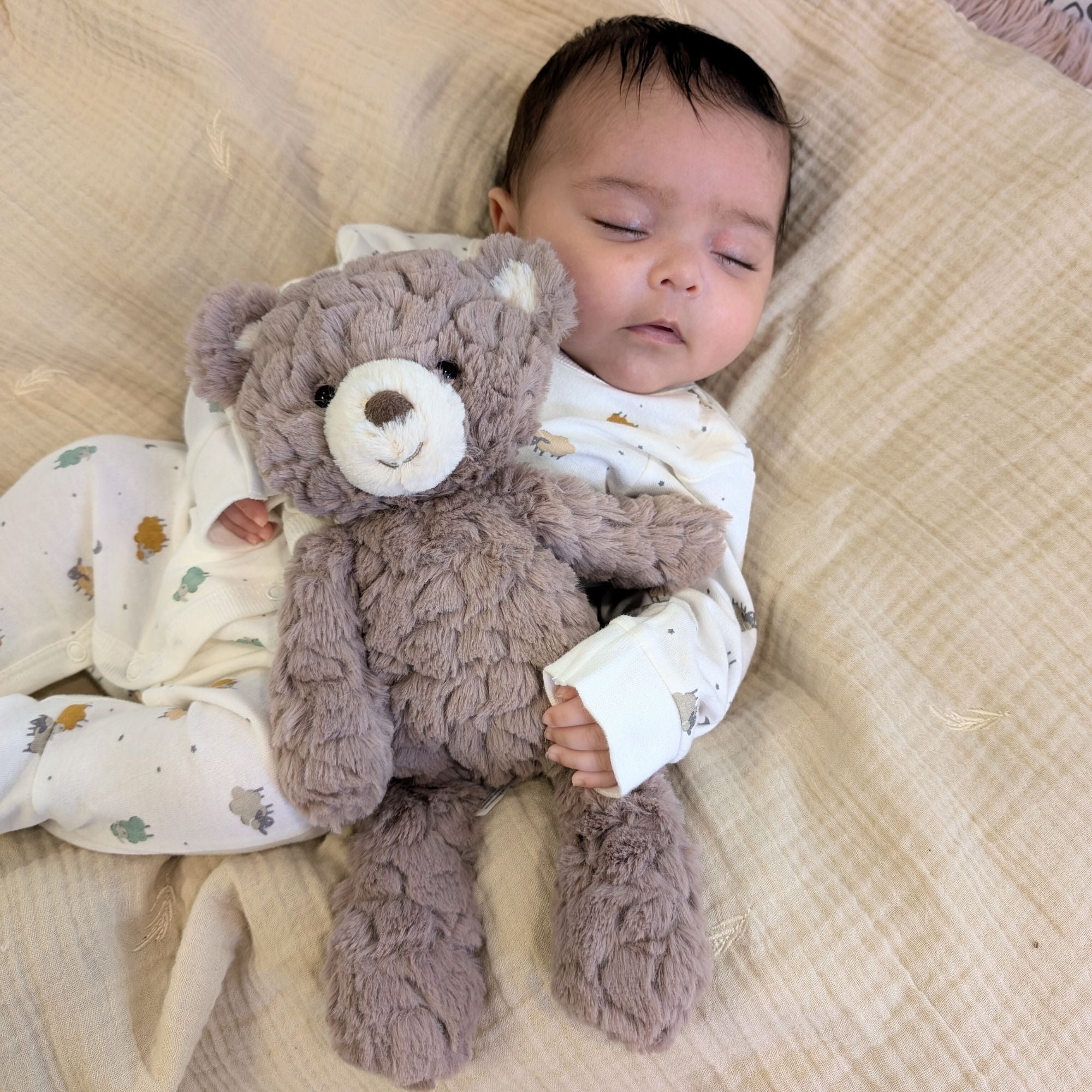 brown soft teddy bear for a new baby 