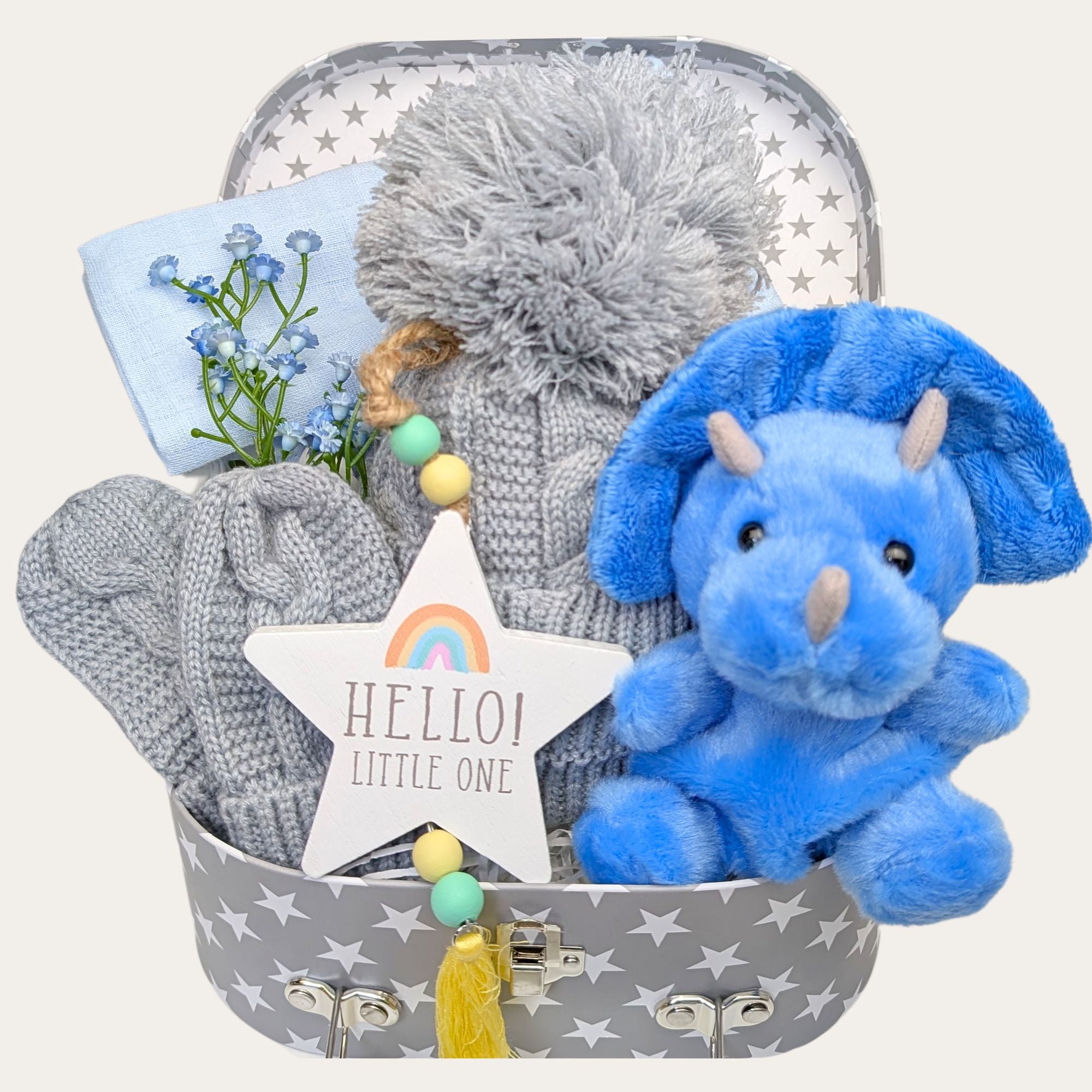 Little Dinosaur Baby Boy Gift Trunk – eco-friendly baby hamper with soft toy, muslin wrap, and knit accessories – Bumbles and Boo.