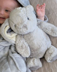 Baby with large grey rabbit soft toy.