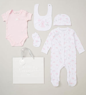 baby girl pink elephant twinkle twinkle clothing gift set with flowers and the wording 'grow' on the bib 