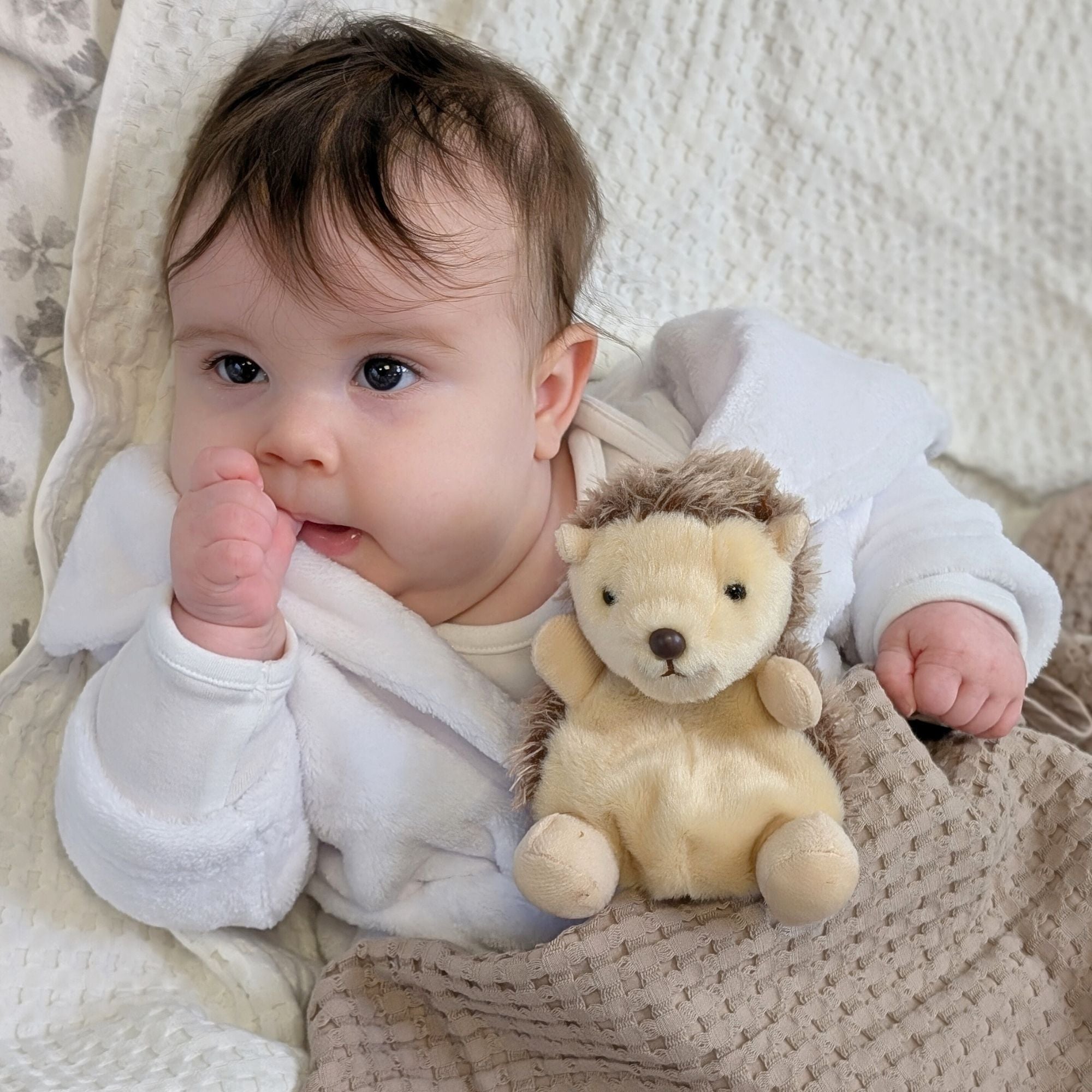 hedgehog baby toy. bumbles and boo