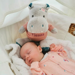 Personalised Jewel Hippo Soft Toy 10