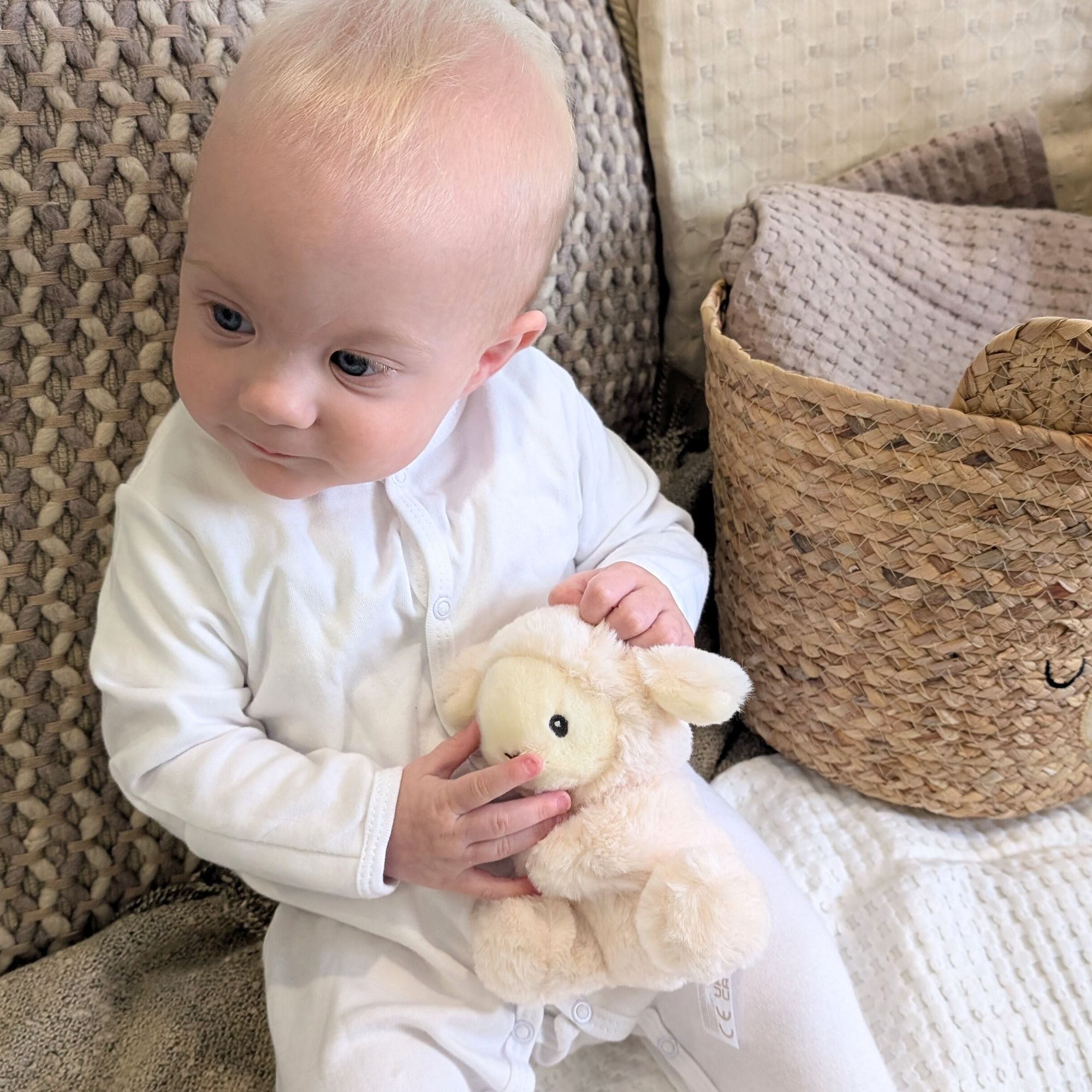 lamb soft toy baby rattle