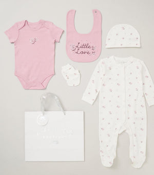 pink and white baby girl 5 piece clothing gifts set with 'Little Love' written on the bib Bumbles and Boo