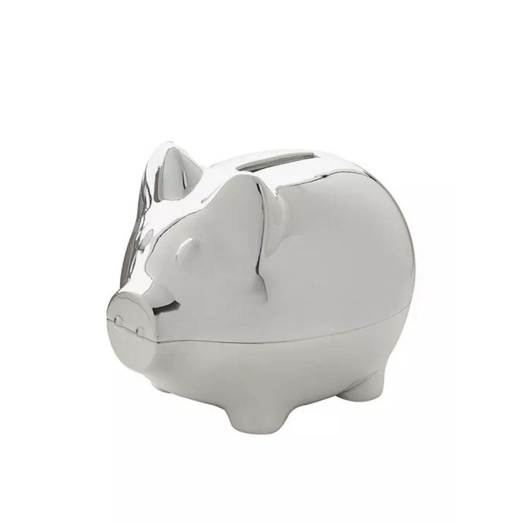 money bank silver pig