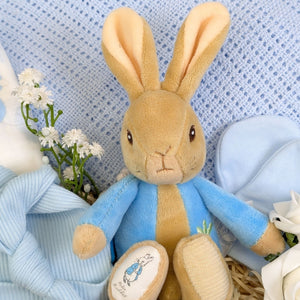 Close up of Peter Rabbit toy.