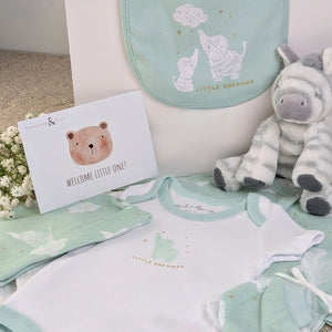 new baby gifts hamper with green clothing set and zebra soft toy