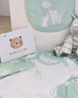 new baby gifts hamper with green clothing set and zebra soft toy