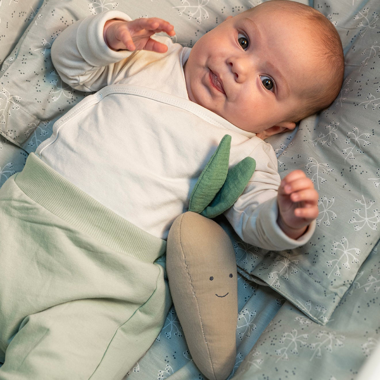 Orange carrot rattle with a baby
