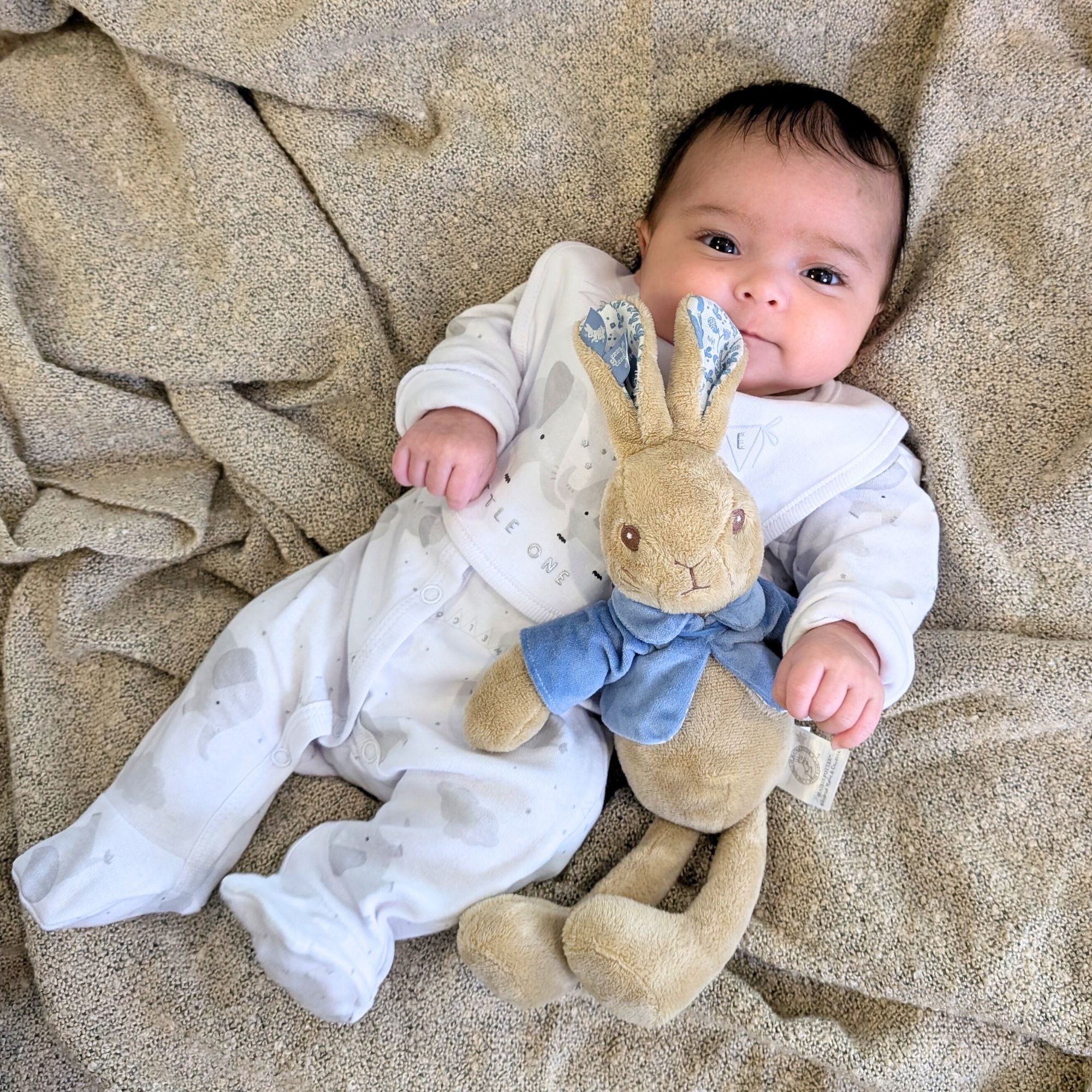 peter rabbit baby soft toy