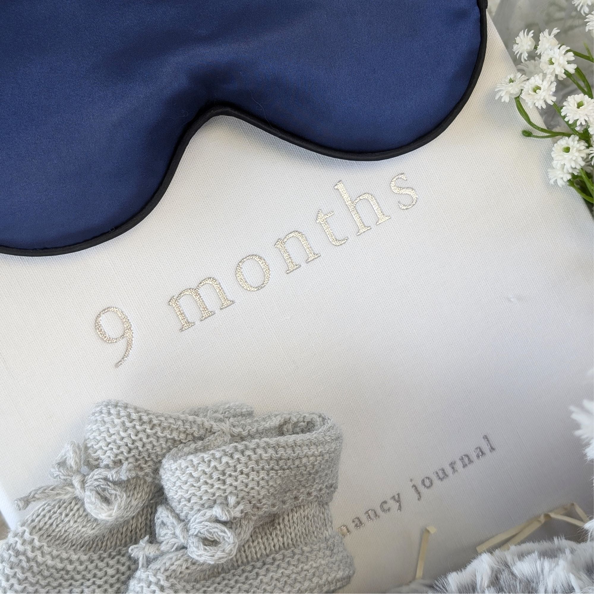 nine months pregnancy journal