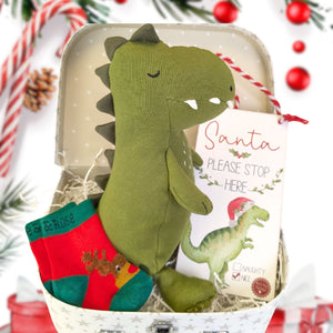 baby's first christmas dinosaur gifts trunk