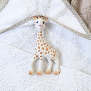 sophie la giraffe teething toy