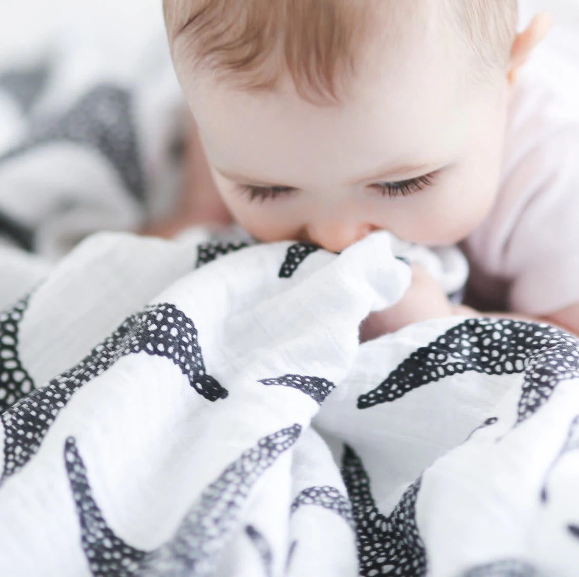 baby sensory black and white muslin