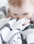 baby sensory black and white muslin