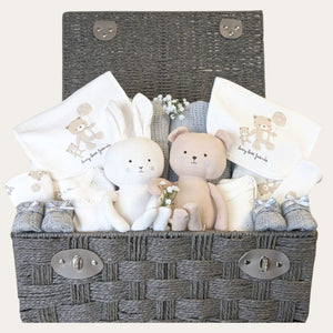 twins babies gift hamper with teddy theme.