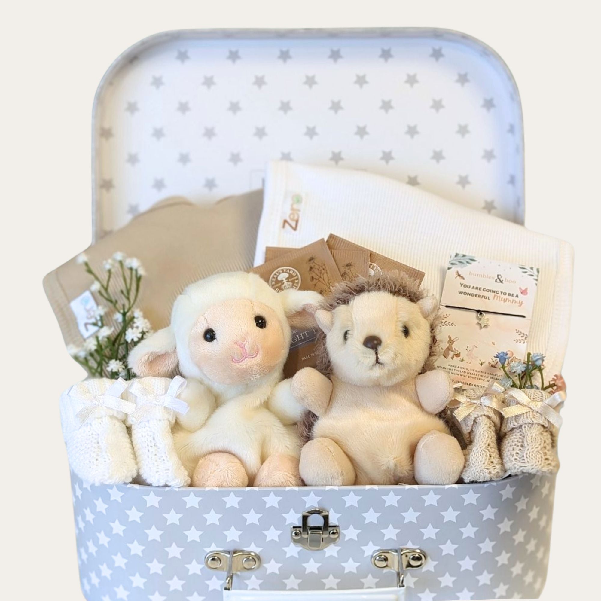 twins baby gifts trunk with hedgehog and lamb in a luggage trunk