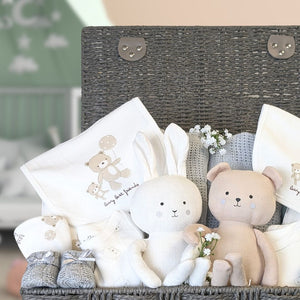 gift hamper for twin babies. unisex