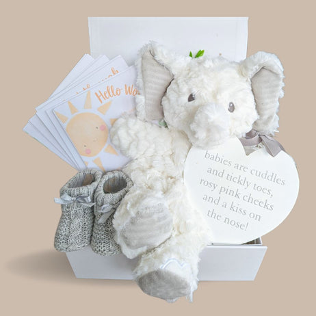Unisex Baby Gift Hampers - Bumbles & Boo