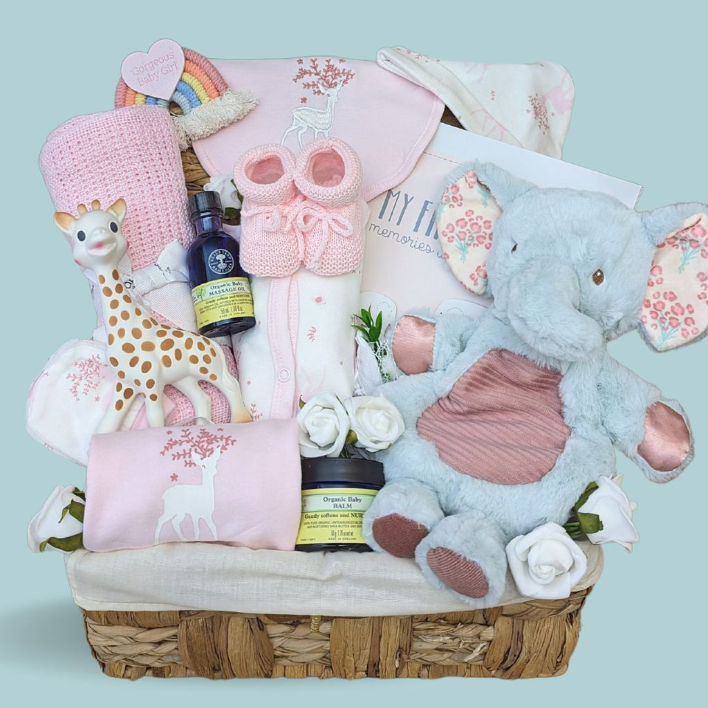 Baby Girl Hamper - Milestone Memories - Baby Girl Gifts – Bumbles & Boo